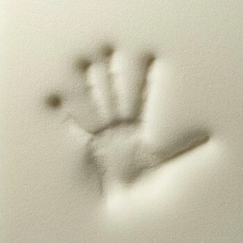 Rexproduct ORI Orthopädische Matratze Dunkelgrün S 4 Rexproduct ORI Orthopädische Matratze Dunkelgrün S – Bild 2