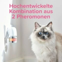 Beaphar CatComfort Excellence Starter-Kit 48ml -ANIMONDA Verkäufe dc9c523dc7185c6fb064dba2b9c7de82f17a2005 1416646 1 5