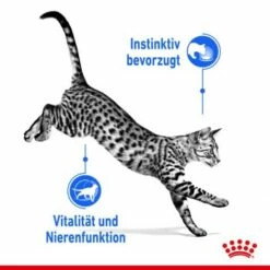 ROYAL CANIN Indoor 7+ Sterilised 12x85g In Gelee -ANIMONDA Verkäufe dca22440cb7827635f09500dad8e99b040f2182a c2f7cdfba5615f6a0f166d3fda177842edcfb7e7