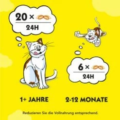Dreamies Snack-Vielfalt 12x60g -ANIMONDA Verkäufe e1b190f4f53100ff83c0fb6481ba747fb1f78bad 1297459 2