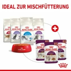 ROYAL CANIN SENSORY Taste In Soße Für Wählerische Katzen 12x85g -ANIMONDA Verkäufe e338f1b738e71508a649c05340bf628bcfb35778 4d355f831b542f8ae284d999b5f903f6ee374b56