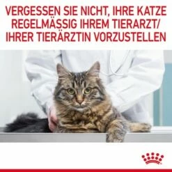 ROYAL CANIN Appetite Control Care 12 X 85 G -ANIMONDA Verkäufe e63d52c7883522116a6a700096d14b92c2d7acf3 1344684 8