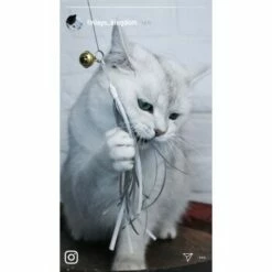 Kater Kasimir Premium Katzenangel Mit 4 Handgemachten Anhängern Aus Naturmaterial -ANIMONDA Verkäufe e6fe48d27b82d48675d665ee2a143e3c11de2fd9 1408150 de DE b29a5f7f2530ce6388e16e2600369d70b2ec0350kYn6B8