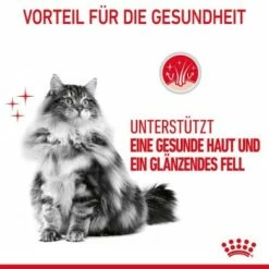 ROYAL CANIN Hair & Skin Care 2 Kg -ANIMONDA Verkäufe e72e5a130ddb229ae62e4146a3b2cfdcf7f8fd19 1003122007 4