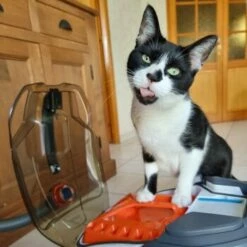 THOMAS Staubsauger 18 THOMAS Staubsauger -ANIMONDA Verkäufe e924a64d06d1776c60effa6ed643bd7a6c20fdca 1406733 de DE 08e20bea72feee79416abcd48fd6e6a61e2fc6eav4kQrJ