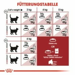 ROYAL CANIN Fit 32 10 Kg -ANIMONDA Verkäufe ea5d3e055ffeb8fe0c515e1a260a774ce18f0e47 01c177acb7ee4fa9df0bc8a0006f3704b6c3568c