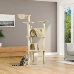 Silvio Design Kratzbaum Marley Beige -ANIMONDA Verkäufe eddcb651f1a6a51d4d190814449489107d9ed86c b1e3af7400c0150e52b2d4d3b87374b97c9c3b24