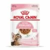 ROYAL CANIN KITTEN STERILISED In Soße 12 X 85g -ANIMONDA Verkäufe ef579d97f7ffe93b55b64844dc6a834f5e50e602 1298264 de DE Kittenster 10
