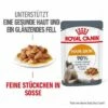 ROYAL CANIN Hair & Skin 12x85g In Soße -ANIMONDA Verkäufe f1a255aad6f944449acb2c6f5a3937572f3debf3 1099143 3