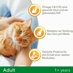 IAMS Vitality Adult Huhn 3 Kg -ANIMONDA Verkäufe f239d7ef57a6054553948e62d3d5feb16002578a 8361bd6d370c2f798bd71fa3242ca269884546de