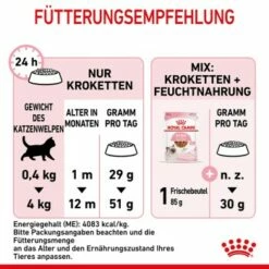 ROYAL CANIN Kitten 4 Kg 16 ROYAL CANIN Kitten 4 Kg -ANIMONDA Verkäufe f349286270d1a1ea5ecae381f3a779f25a4052bc 3182550702973 9