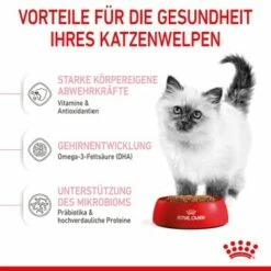ROYAL CANIN Kitten 4 Kg 20 ROYAL CANIN Kitten 4 Kg -ANIMONDA Verkäufe f4a05d762cdc5e6b170f6edd236e6bd5b7278cb0 3182550702973 5