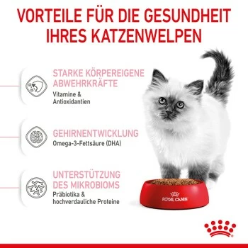 ROYAL CANIN Kitten 4 Kg 11 ROYAL CANIN Kitten 4 Kg – Bild 9