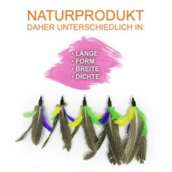 Schlitzohr Katzenangel Federanhänger 5x -ANIMONDA Verkäufe f6a96b93601c3b2f6f7420ade3ecfe56542cca74 1484675 de DE b1d2fd29ad67016b9a6af908251d348edfa467f2BG8aWR