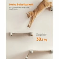 FEANDREA Clickat Katzenmöbel 3er Set, Für Die Wand -ANIMONDA Verkäufe f7aff5070c5f1b9dc5bbdf24e5f94b30ab6bcc4a 1681459 de DE 2162716de0a1552ee6b9cb18bfa03d352c2b2eebcymJF2