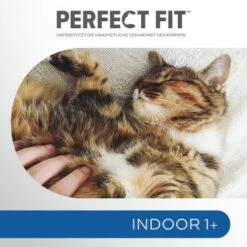 PERFECT FIT Beutel Indoor 1+ Huhn 5x1,4 Kg -ANIMONDA Verkäufe f89e95b65e2c59af18736d04672e37eab3ee6322 1002911003 4