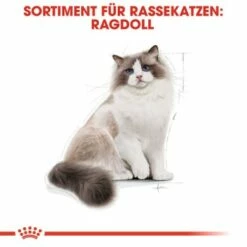 ROYAL CANIN Ragdoll Adult 10 Kg 15 ROYAL CANIN Ragdoll Adult 10 Kg -ANIMONDA Verkäufe f8b811f9eab7202e49f7b235d6a595fa348bbbaf bb5e5e0f36d3d37fdca6dd70ac412f733832df15
