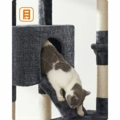 FEANDREA Katzenbaum 142cm Hellgrau Dunkelgrau -ANIMONDA Verkäufe fb7682c6395695a75836542b68d0f7a54a591ae8 1483569 de DE b3b0f66ca9bc714f8cd4f36ecbbcbaf6dfe405edrHODTr