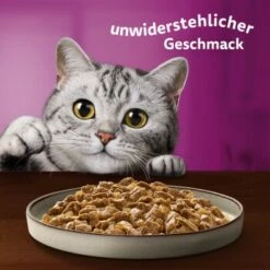 Whiskas Pure Delight Mega Pack Geflügel Ragout In Gelee 40 X 85g -ANIMONDA Verkäufe fb884326dc9636e4843c68e11f5586233a08be8f 1410723 de DE Whiskas 8