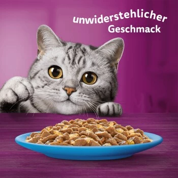 Whiskas Jumbo Pack 1+ Fisch Auswahl In Gelee 80 X 85g 9 Whiskas Jumbo Pack 1+ Fisch Auswahl In Gelee 80 X 85g – Bild 7